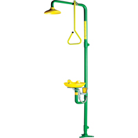 Safe-T-Zone&reg; Aerated Combination Shower & Eyewash Chandler Sales