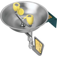 Eyewash Station, Wall-Mount Installation, Stainless Steel Bowl Chandler Sales