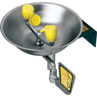 Eye/Face Wash Station, Wall-Mount Installation, Stainless Steel Bowl Chandler Sales