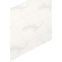 Ruban antid&eacute;rapant de premi&egrave;re qualit&eacute;, 4" x 60', Transparent Chandler Sales