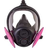 Respirateur &agrave; masque complet de s&eacute;rie RU6500 de North, Silicone, Grand Chandler Sales