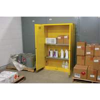 Armoire pour produits inflammables, 45 gal., 2 Porte(s), 43" La x 65" h x 18" p Chandler Sales