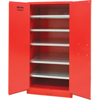 Armoire pour peintures et encres, 96 gal., 5 tablettes Chandler Sales