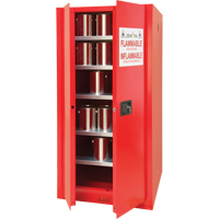 Armoire pour peintures et encres, 96 gal., 5 tablettes Chandler Sales
