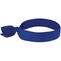 Chill-its&reg; 6700 Cooling Bandanas, Blue Chandler Sales