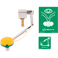 Eye/Face Wash Station, Sink Mount Installation Chandler Sales