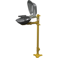 Halo Face/Eyewash Stations, Pedestal Installation, Stainless Steel Bowl Chandler Sales