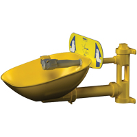 Halo Eyewash Stations, Wall-Mount Installation, Plastic Bowl Chandler Sales
