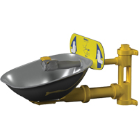 Halo Eyewash Stations, Wall-Mount Installation, Stainless Steel Bowl Chandler Sales