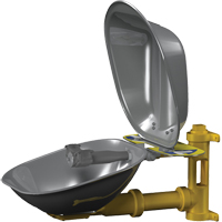 Halo Eyewash Stations, Wall-Mount Installation, Stainless Steel Bowl Chandler Sales