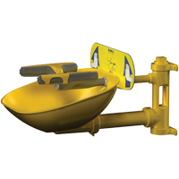 Halo Face/Eyewash Stations, Wall-Mount Installation, Plastic Bowl Chandler Sales