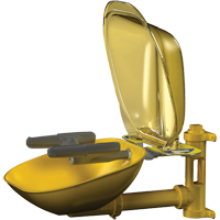 Halo Face/Eyewash Stations, Wall-Mount Installation, Plastic Bowl Chandler Sales