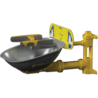 Halo Face/Eyewash Stations, Wall-Mount Installation, Stainless Steel Bowl Chandler Sales