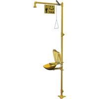 Combinaison de douche d'urgence & douche oculaire Halo Chandler Sales
