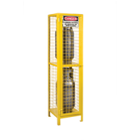 Gas Cylinder Cabinets, 2 Cylinder Capacity, 17" W x 17" D x 69" H, Yellow Chandler Sales