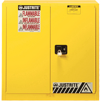 Armoire de s&eacute;curit&eacute; pour produits inflammables Ex Sure-Grip, 30 gal., 2 Porte(s), 36" La x 35" h x 24" p Chandler Sales