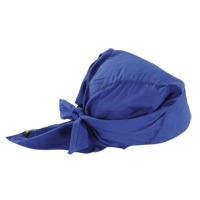 Foulards de refroidissement en triangle Chill-Its 6710, Bleu Chandler Sales