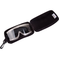 Safety Goggles Case Chandler Sales