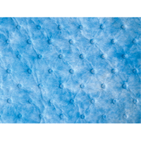 Oil Only Sorbent Sweep Chandler Sales