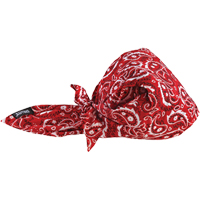Bandeaux en triangle 6710CT de refroidissement en tissu de serviette Chill-Its, Rouge Chandler Sales