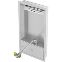 Poste de douche oculaire, Installation Montage mural, Bol Acier inoxydable Chandler Sales