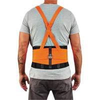 ProFlex 100HV Economy Spandex Hi-Vis Back Support Brace, Elastic, X-Small Chandler Sales