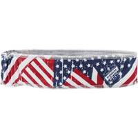 Chill-Its 6605 Cooling Headbands, Multi-Colour Chandler Sales