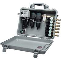 6 Worker Multi Regulator Chandler Sales