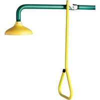Lifesaver&reg; Emergency Overhead Showers, Wall-Mount Chandler Sales
