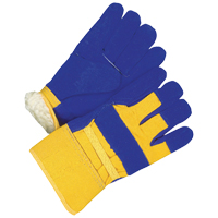 Ladies Fitter Gloves, Ladies, Grain Cowhide Palm, Cotton Inner Lining Chandler Sales