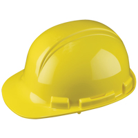 North&reg; Whistler Hardhat, Meets CSA Type 1, Pinlock Suspension, Non-Vented Chandler Sales