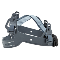 Dynamic Replacement Suspension, Pinlock Chandler Sales