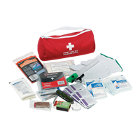 Dynamic Car First Aid Kit, Class 1 Medical Device, Nylon Bag Chandler Sales