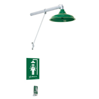 Freeze Protected Drench Shower, Wall-Mount Chandler Sales