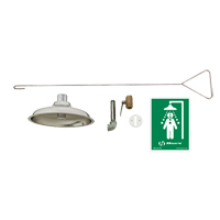 Concealed Drench Shower, Ceiling-Mount Chandler Sales