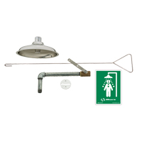Drench Shower, Ceiling-Mount Chandler Sales