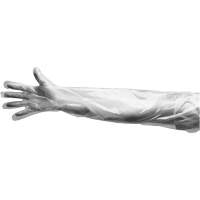 Disposable Gloves, Large, Polyethylene, 9-mil, Powdered, Clear Chandler Sales