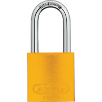 Ensemble de cadenas, Cl&eacute;s identiques, Aluminium, Largeur de 1-1/2" Chandler Sales