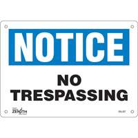 "No Trespassing" Sign, 7" x 10", Aluminum, English Chandler Sales