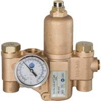 Robinet mitigeur thermostatique pour luminaires durgence Navigator EFX20, 30 gal./min Chandler Sales