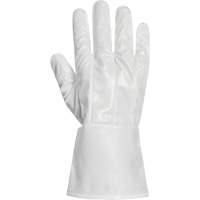 Ground Hog Electro-Static Spray Painting Gloves, Size Large, 11.5" L, Polyurethane Chandler Sales