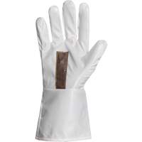 Ground Hog Electro-Static Spray Painting Gloves, Size Large, 11.5" L, Polyurethane Chandler Sales