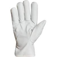 Gants de conducteur doubl&eacute;s pour l'hiver Endura, T-Grand, Paume en Cuir fleur de ch&egrave;vre, Thinsulate Chandler Sales
