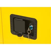 Armoire pour produits inflammables, 12 gal., 1 Porte(s), 23" La x 35" h x 18" p Chandler Sales
