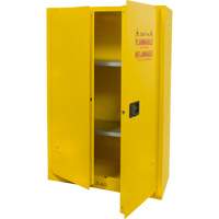 Armoire pour produits inflammables, 45 gal., 2 Porte(s), 43" La x 65" h x 18" p Chandler Sales