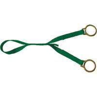 Extension avec anneau en D double, Anneau en D, Usage Temporaire Chandler Sales