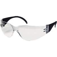 CeeTec Safety Glasses, Clear Lens, Anti-Fog/Anti-Scratch, Meets/Exceeds CSA Z94.3 Chandler Sales