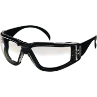 CeeTec DX Safety Glasses, Clear Lens, Anti-Fog/Anti-Scratch, Meets/Exceeds CSA Z94.3 Chandler Sales