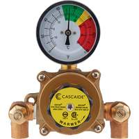 Mitigeur pour assemblage au groupe expos&eacute; d'une douche oculaire/faciale, 9 gal./min Chandler Sales