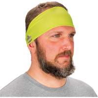 Chill-Its 6634 Cooling Headband, High Visibility Lime-Yellow Chandler Sales